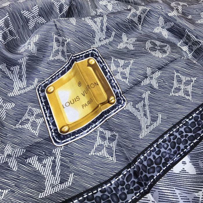 Louis Vuitton Scarf LVS00179